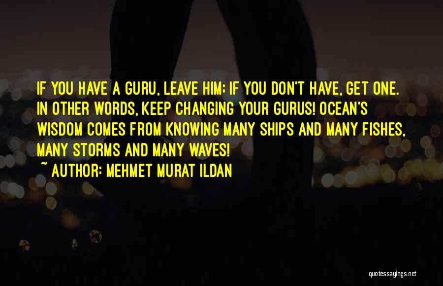 Fishes Quotes By Mehmet Murat Ildan