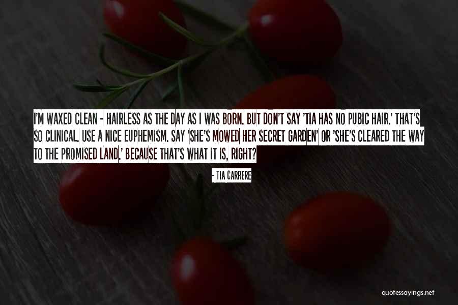 Fissan Pasta Quotes By Tia Carrere Fissan Pasta Quotes By Tia Carrere