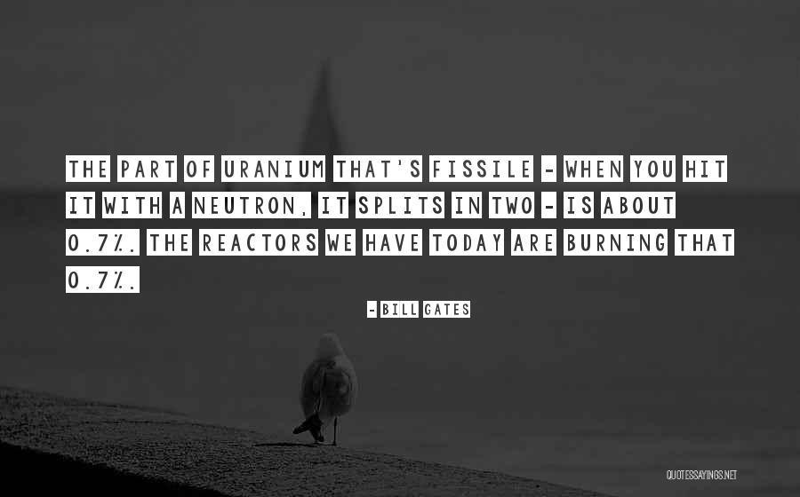 Fissile Uranium Quotes By Bill Gates Fissile Uranium Quotes By Bill Gates