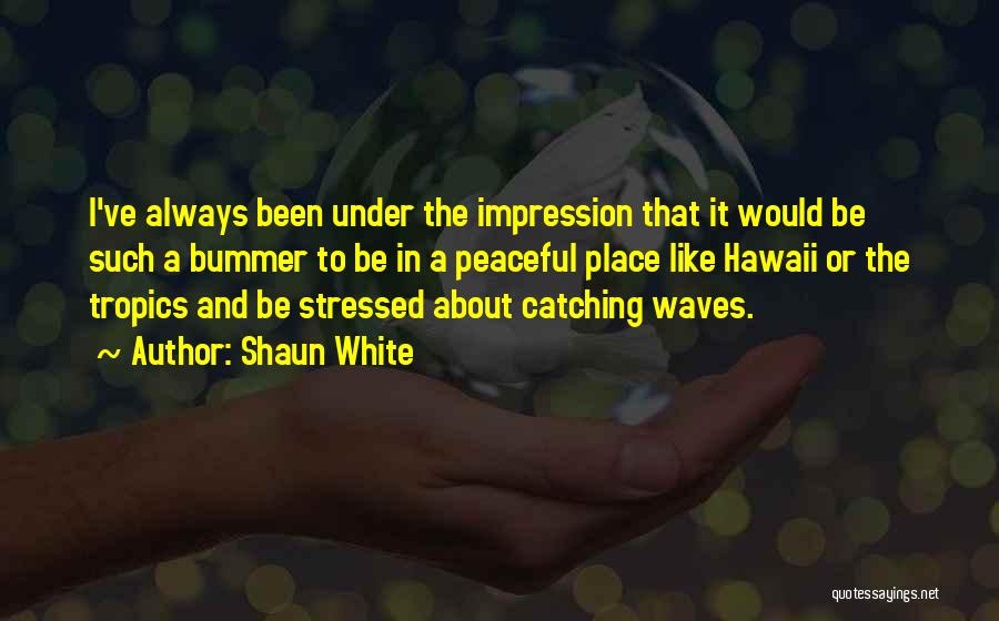 Fissman Lv Quotes By Shaun White