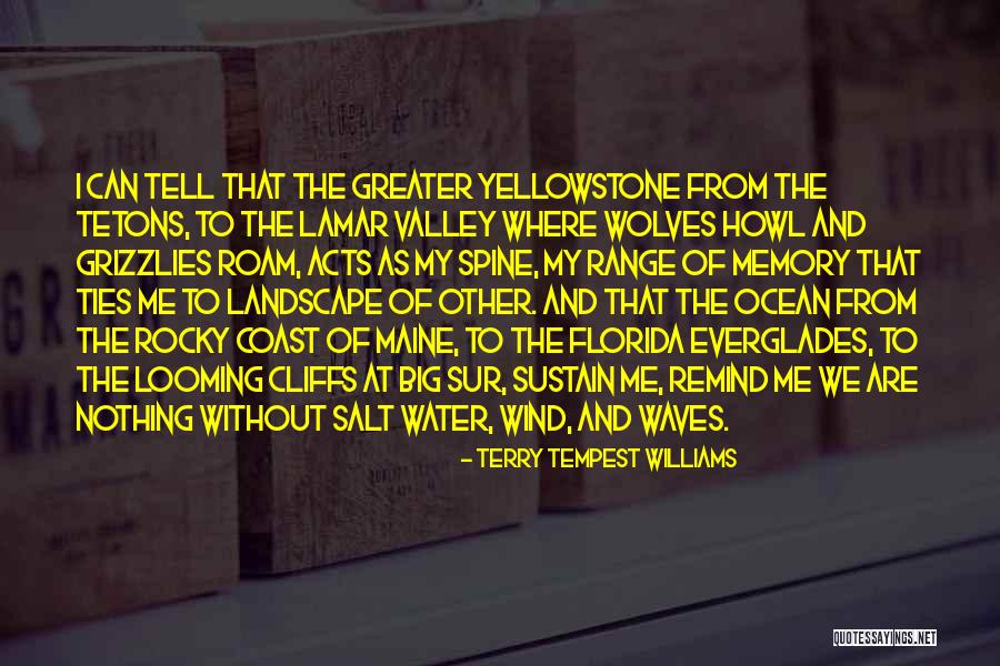 Fissuras Calcanhares Quotes By Terry Tempest Williams Fissuras Calcanhares Quotes By Terry Tempest Williams