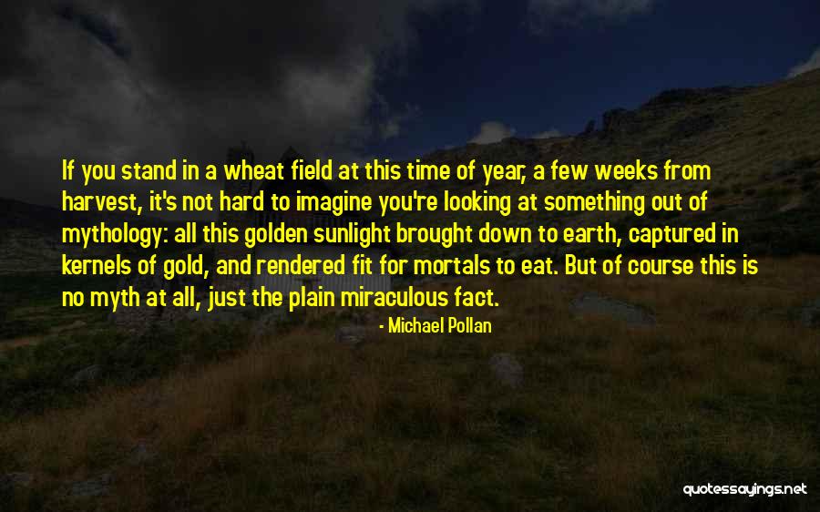 Fit In Stand Out Quotes By Michael Pollan