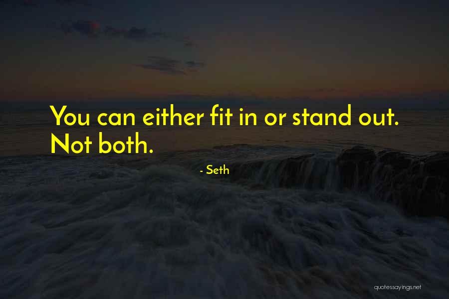 Fit In Stand Out Quotes By Seth