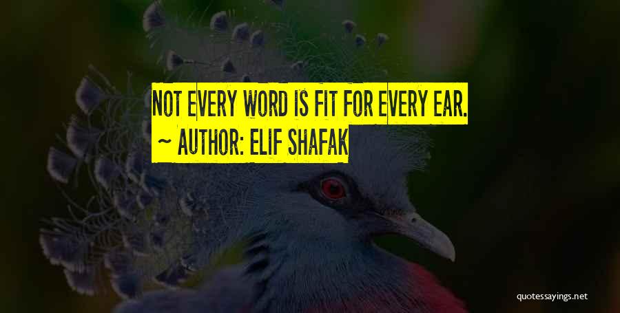 Fit Quotes By Elif Shafak