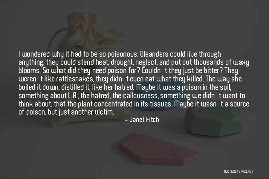 Fitch Even Quotes By Janet Fitch Fitch Even Quotes By Janet Fitch