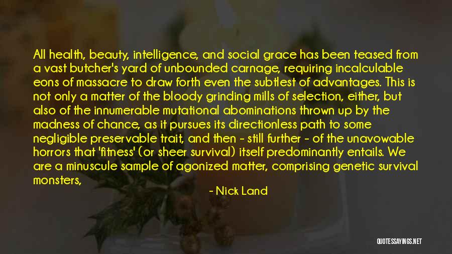 Fitness And Health Quotes By Nick Land