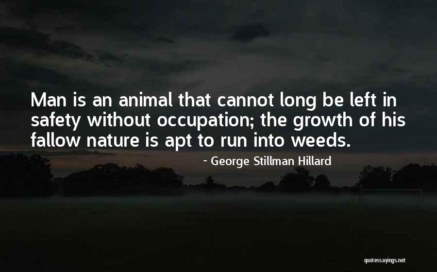 Fitsum Arega Quotes By George Stillman Hillard Fitsum Arega Quotes By George Stillman Hillard