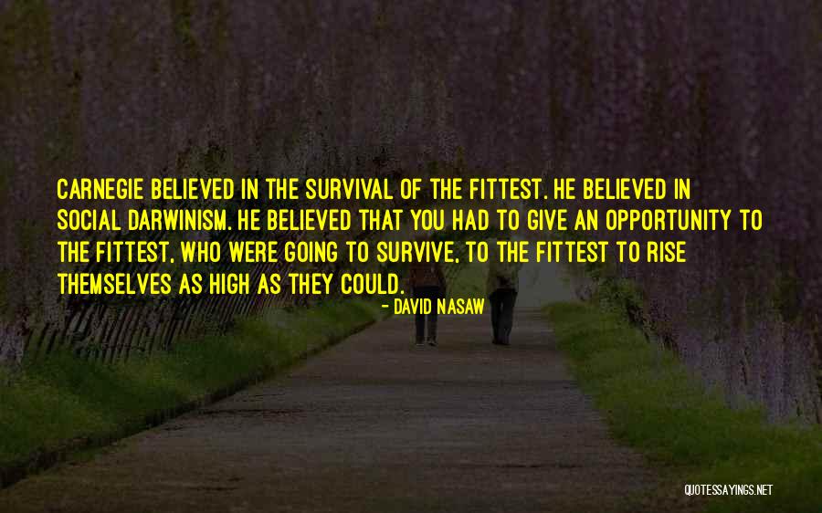 Fittest Quotes By David Nasaw Fittest Quotes By David Nasaw