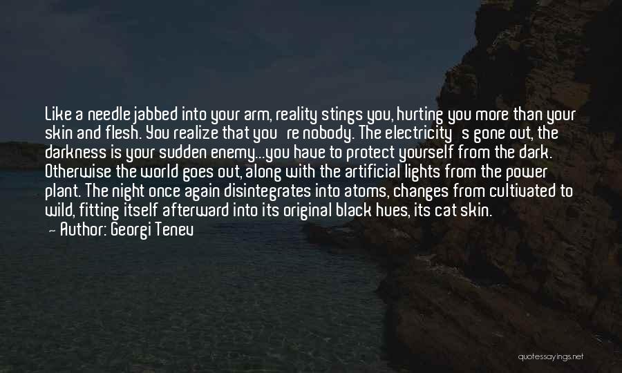 Fitting Into The World Quotes By Georgi Tenev