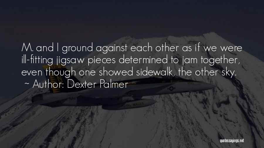 Fitting Pieces Together Quotes By Dexter Palmer