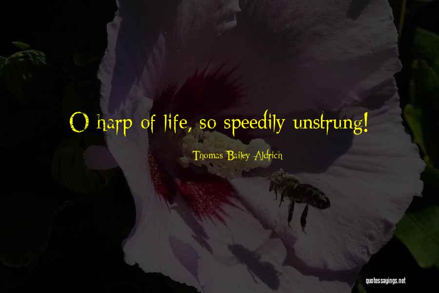 Fittingly Delicious Quotes By Thomas Bailey Aldrich