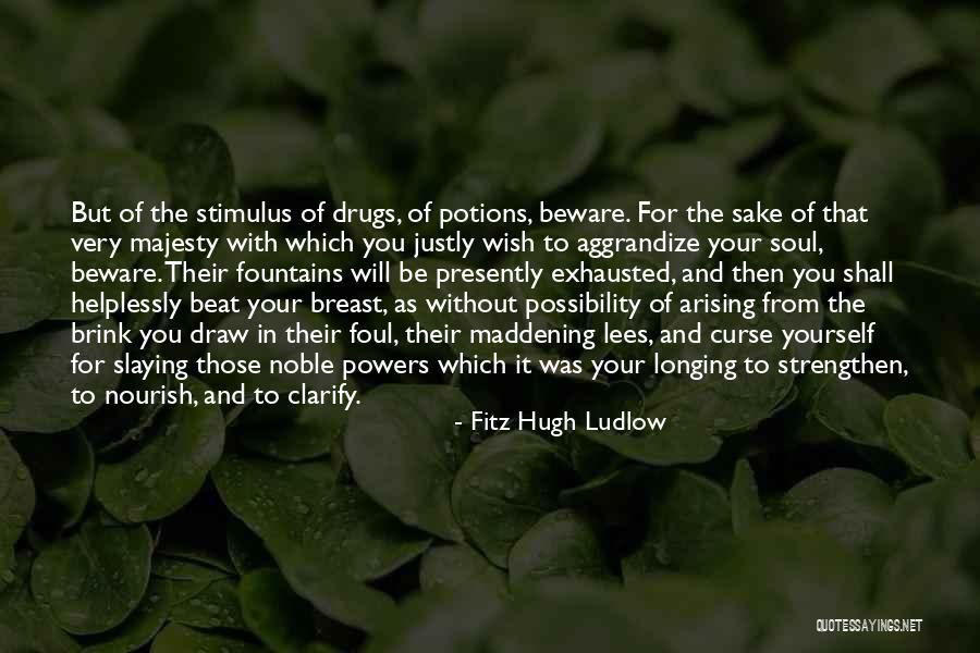 Fitz Hugh Ludlow Quotes 1545258