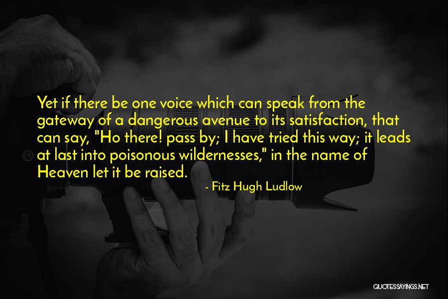 Fitz Hugh Ludlow Quotes 89939