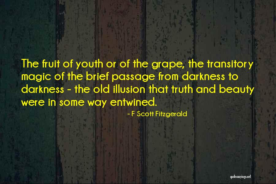 Fitzgerald Alcohol Quotes By F Scott Fitzgerald