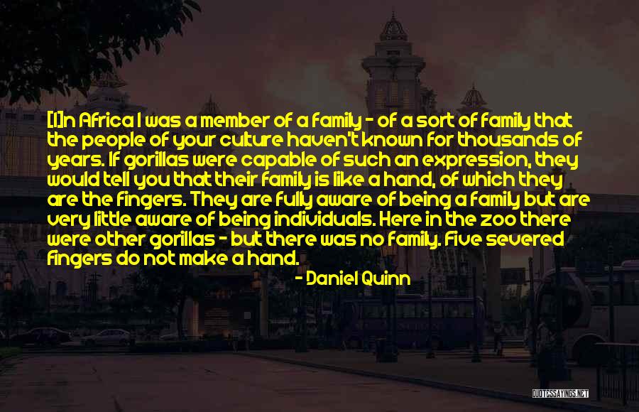 Five Fingers Quotes By Daniel Quinn