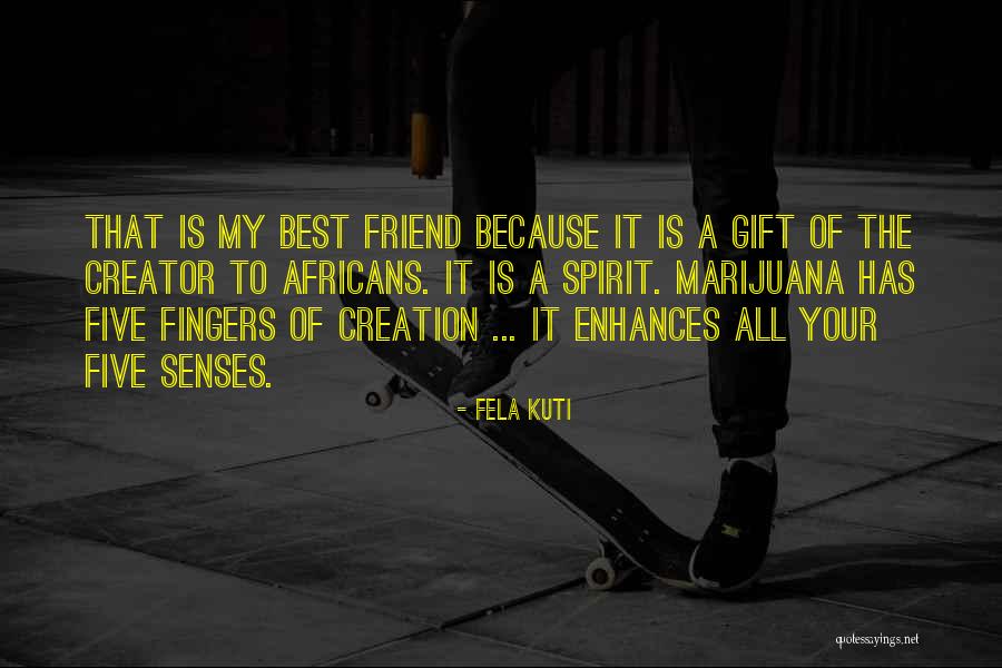 Five Fingers Quotes By Fela Kuti