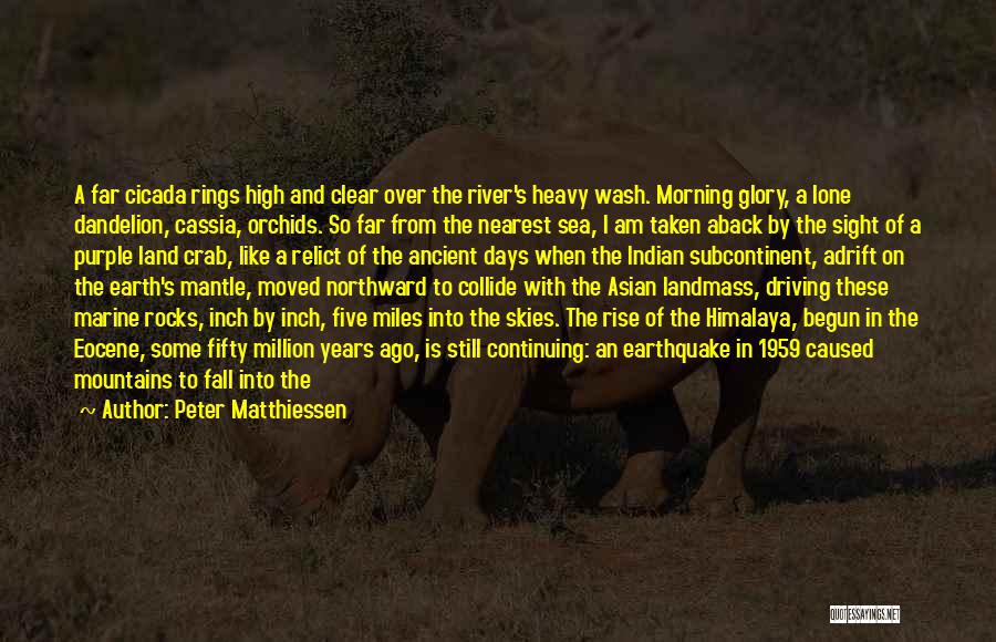 Five Rings Quotes By Peter Matthiessen