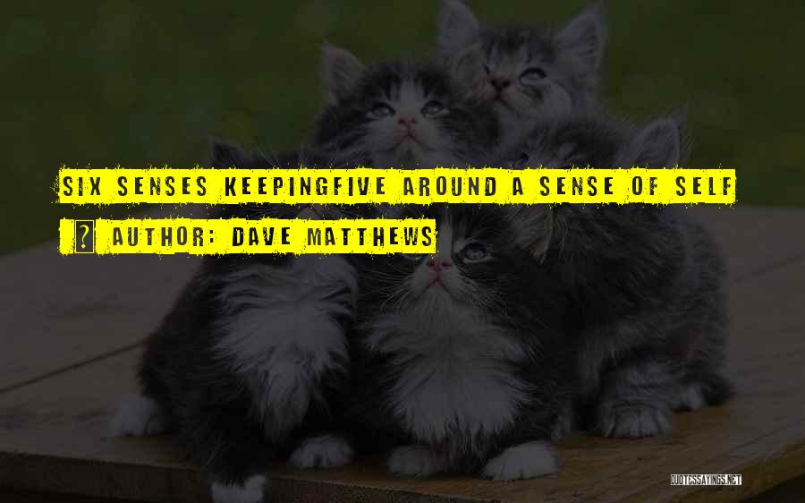 Five Senses Quotes By Dave Matthews