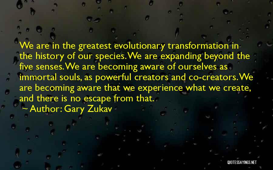 Five Senses Quotes By Gary Zukav