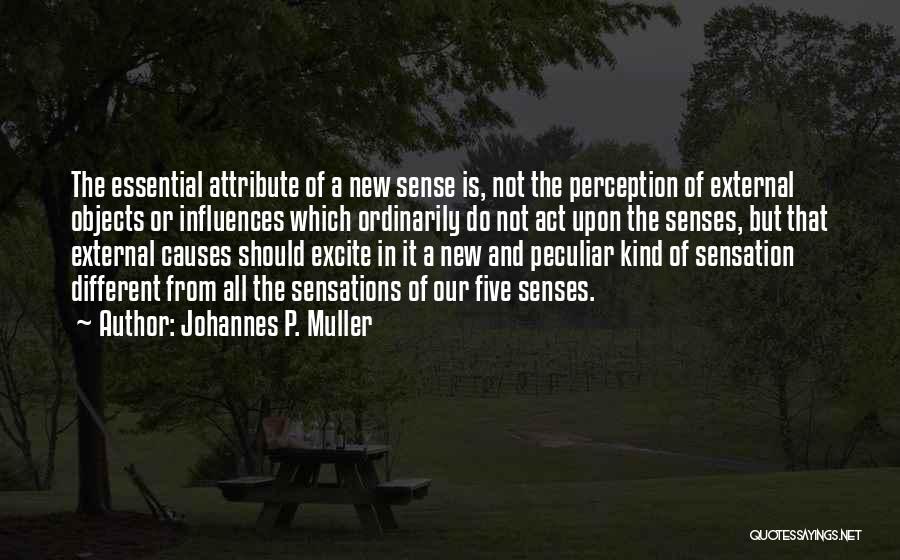 Five Senses Quotes By Johannes P. Muller