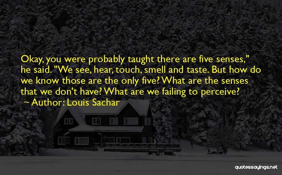 Five Senses Quotes By Louis Sachar