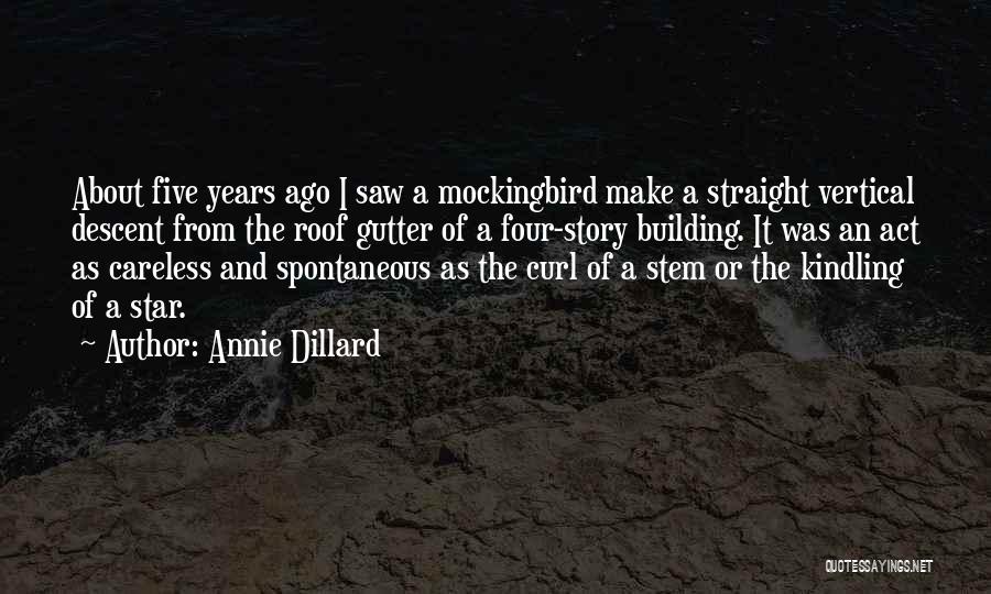 Five Star Quotes By Annie Dillard