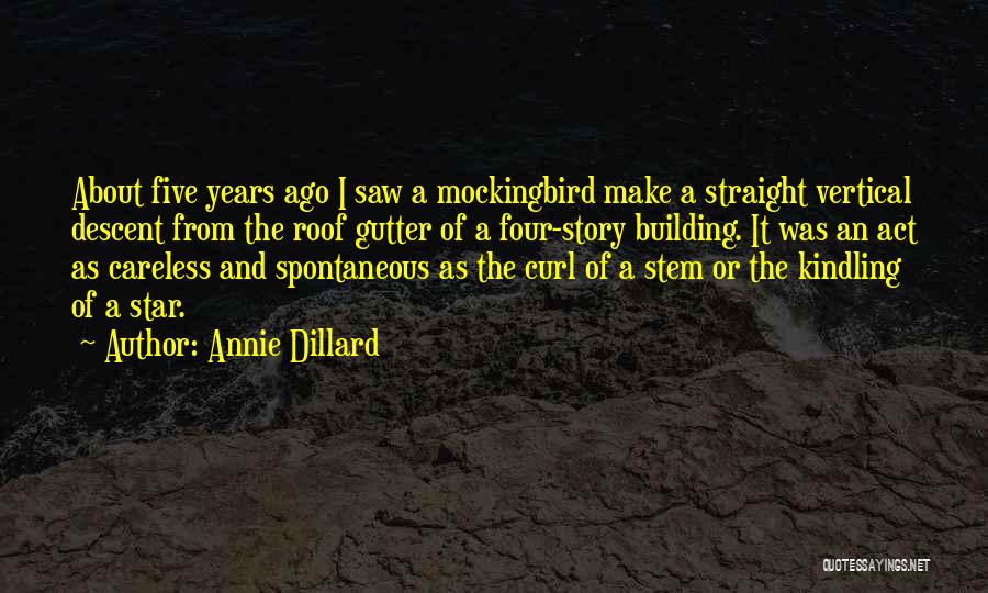 Five Years Ago Quotes By Annie Dillard