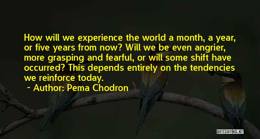 Five Years From Now Quotes By Pema Chodron