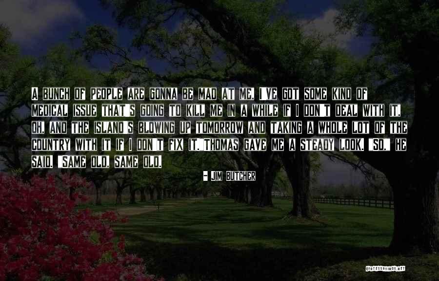 Fix And Harry Quotes By Jim Butcher Fix And Harry Quotes By Jim Butcher