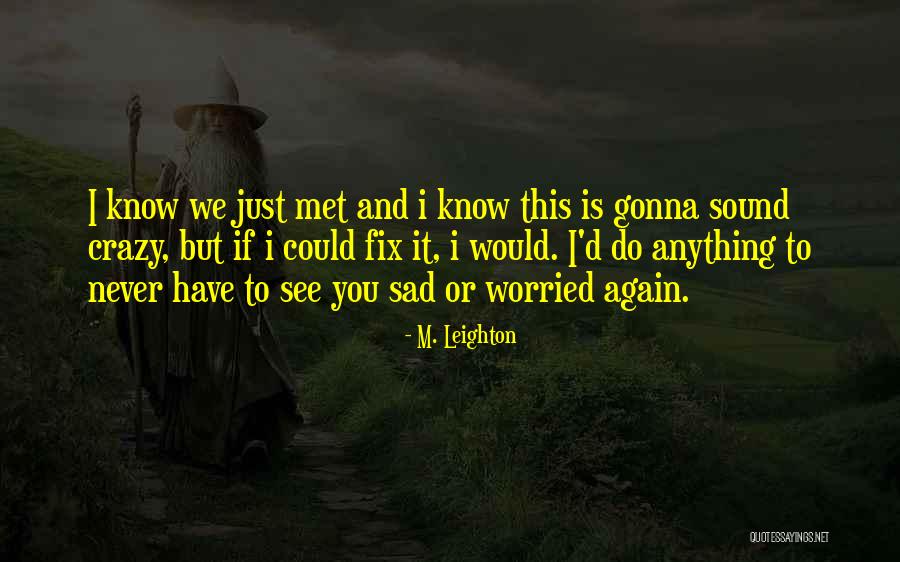 Fix Anything Quotes By M. Leighton Fix Anything Quotes By M. Leighton