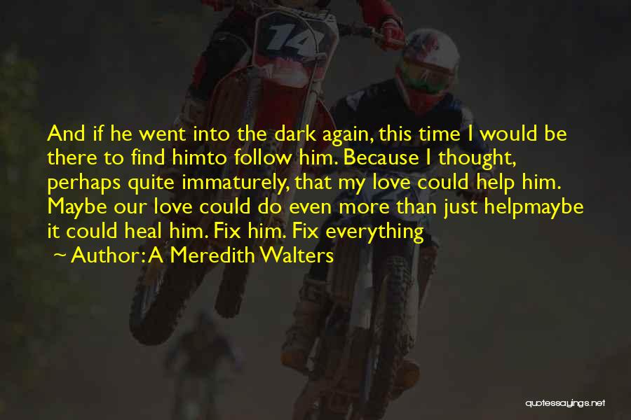 Fix Our Love Quotes By A Meredith Walters