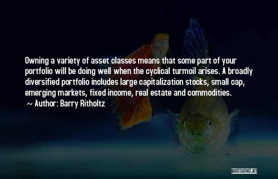 Fixed Asset Quotes By Barry Ritholtz