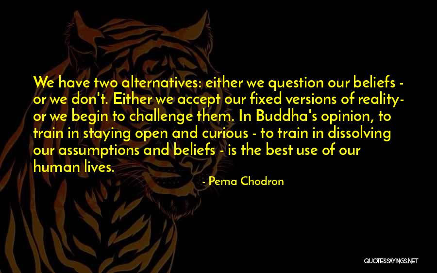 Fixed Beliefs Quotes By Pema Chodron Fixed Beliefs Quotes By Pema Chodron