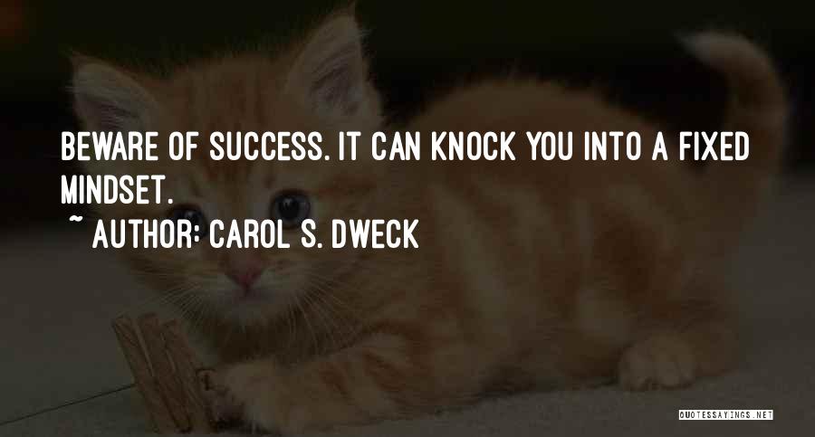 Fixed Mindset Quotes By Carol S. Dweck