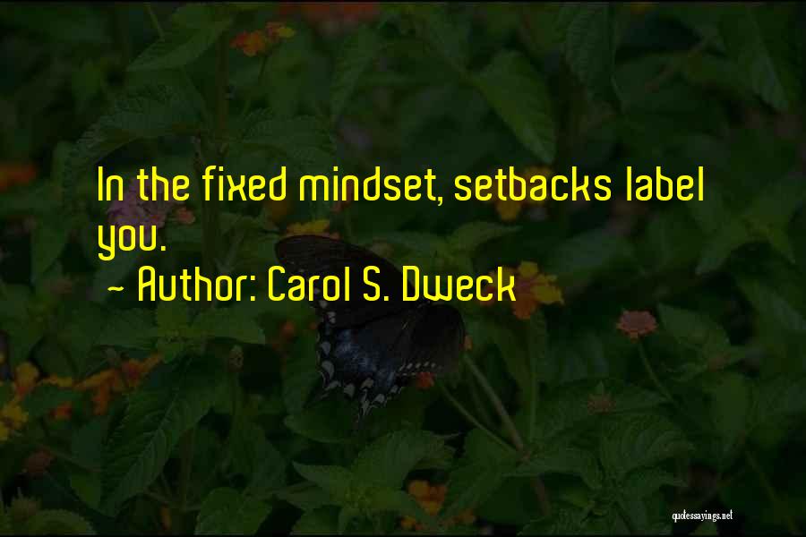 Fixed Mindset Quotes By Carol S. Dweck