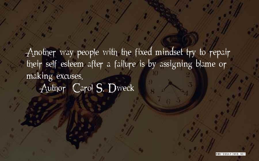 Fixed Mindset Quotes By Carol S. Dweck