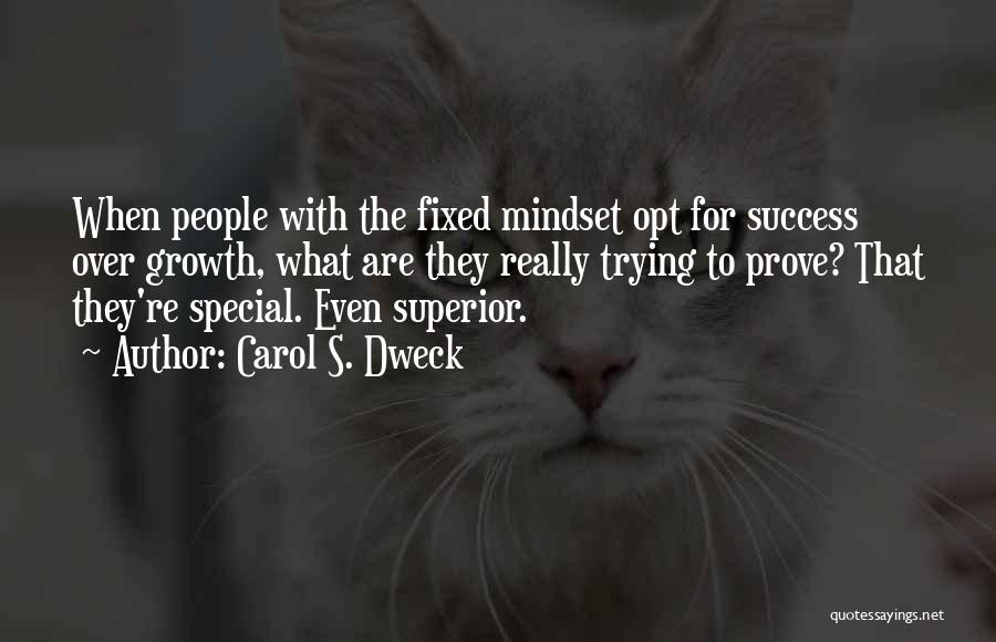 Fixed Mindset Quotes By Carol S. Dweck