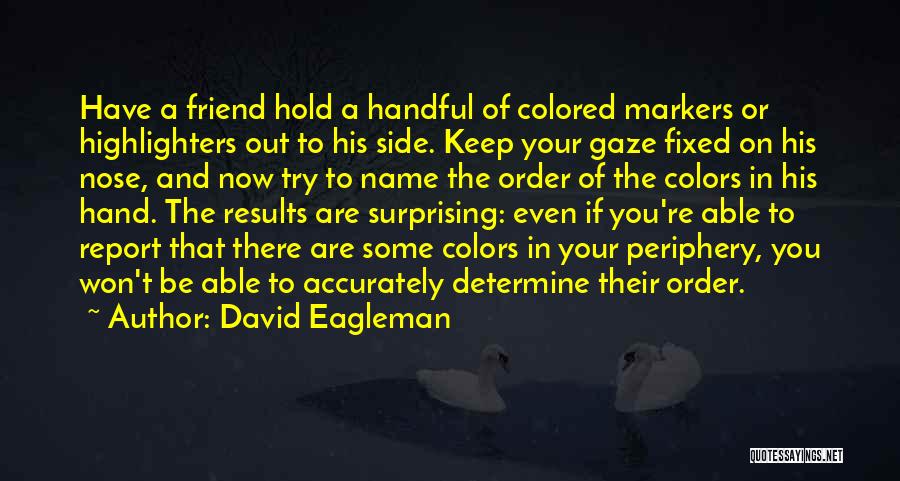 Fixed On You Quotes By David Eagleman