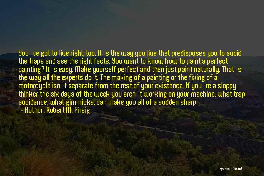 Fixing Things Quotes By Robert M. Pirsig