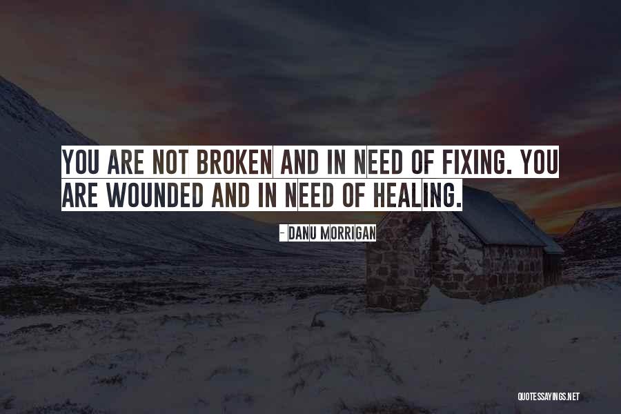 Fixing What's Broken Quotes By Danu Morrigan Fixing What's Broken Quotes By Danu Morrigan