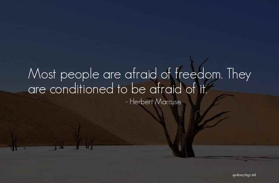 Fiyat Performans Quotes By Herbert Marcuse Fiyat Performans Quotes By Herbert Marcuse