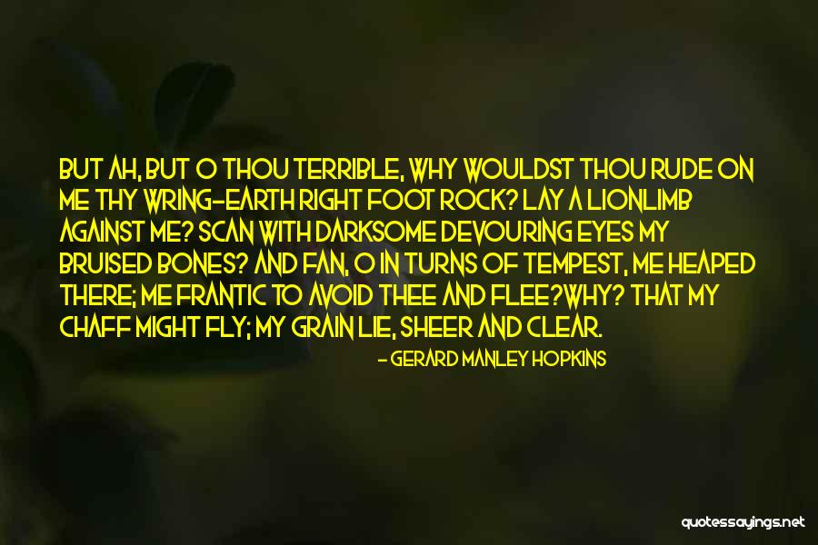 Fizykoterapia Quotes By Gerard Manley Hopkins