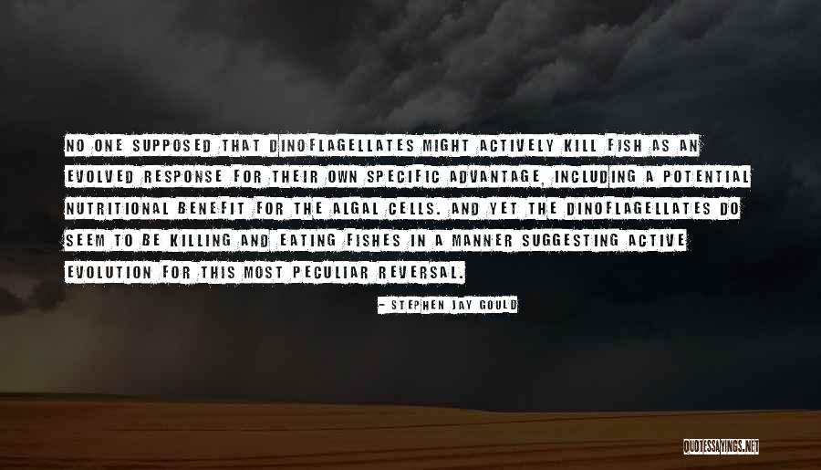 Fizykoterapia Quotes By Stephen Jay Gould