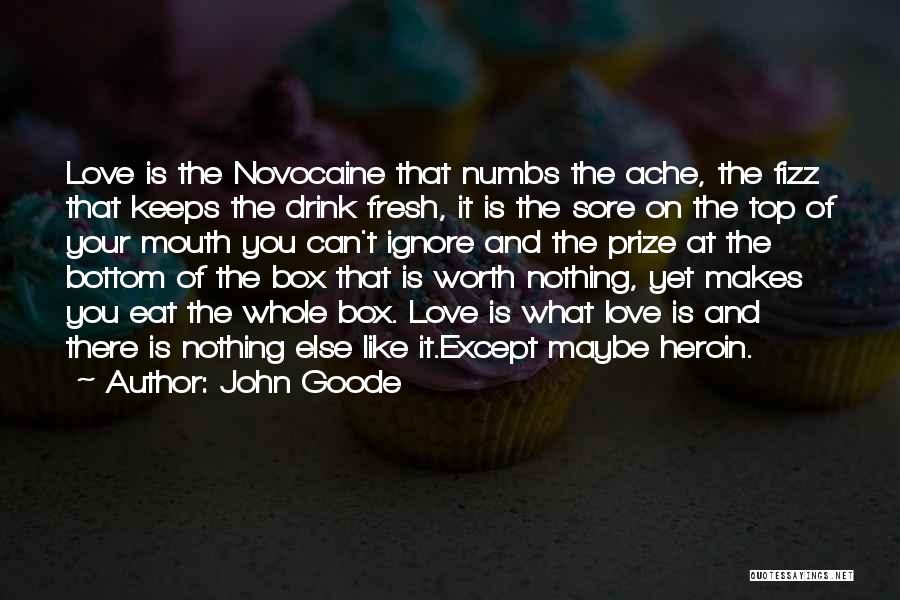 Fizz Quotes By John Goode