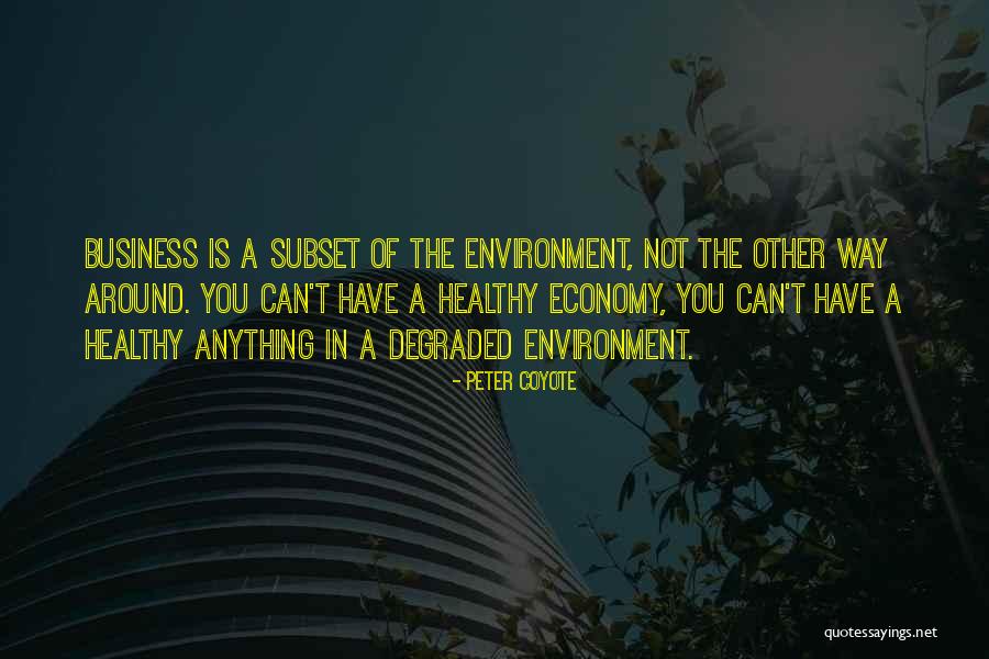 Fjerdan Quotes By Peter Coyote Fjerdan Quotes By Peter Coyote