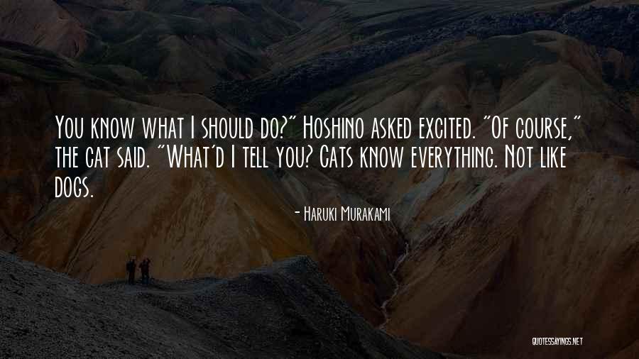Fl Neur Quotes By Haruki Murakami Fl Neur Quotes By Haruki Murakami