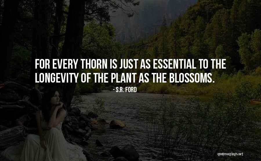 Flabby Belly Quotes By S.R. Ford Flabby Belly Quotes By S.R. Ford