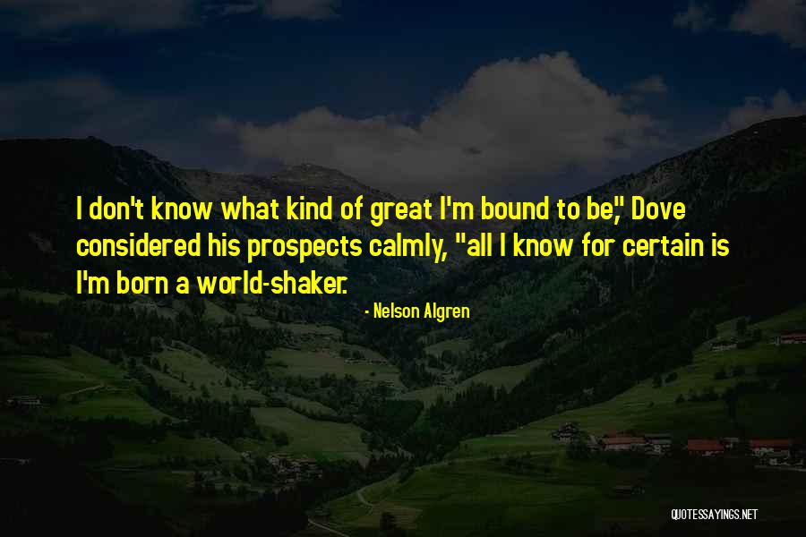 Flabio Torres Quotes By Nelson Algren Flabio Torres Quotes By Nelson Algren