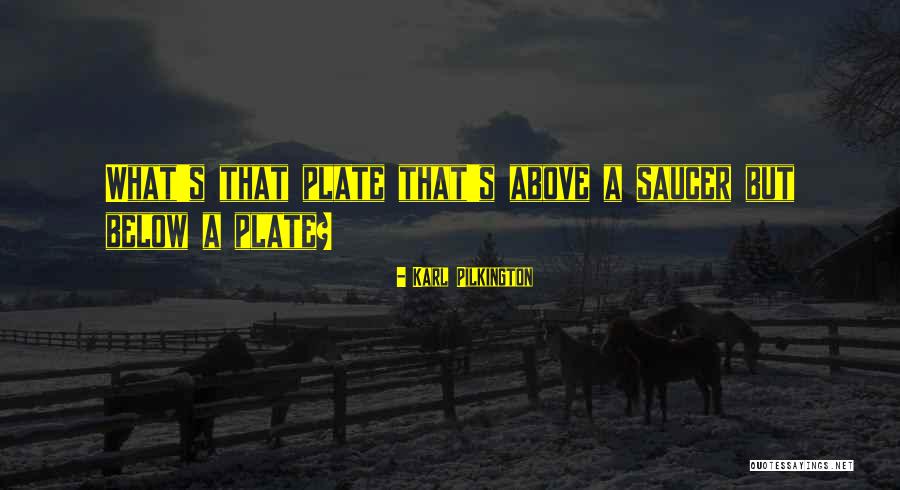 Flack Amazon Quotes By Karl Pilkington