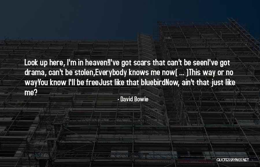 Flacks Quotes By David Bowie Flacks Quotes By David Bowie